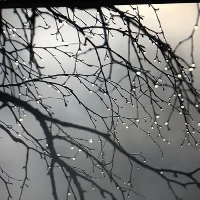 Stay Well Health & Beauty