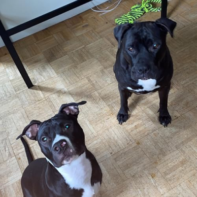 Jumba and Lilo Profile