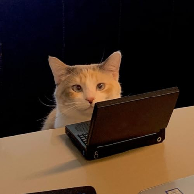 Panko's Picks Profile