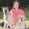 Rescue Dogs 101 Profile