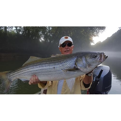 STR Outfitters Profile