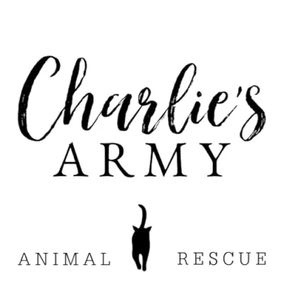 Charlie's Army