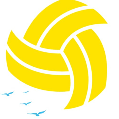 Better at Beach Volleyball Profile