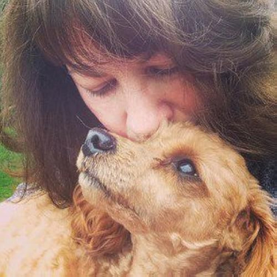 The Soulful Pet's Store Profile