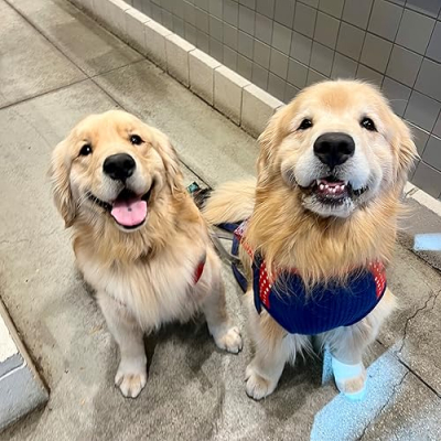 Chase n Chester Profile