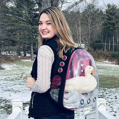 Dunkin Ducks Profile