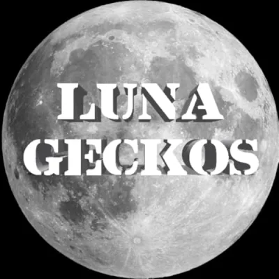 Luna Geckos