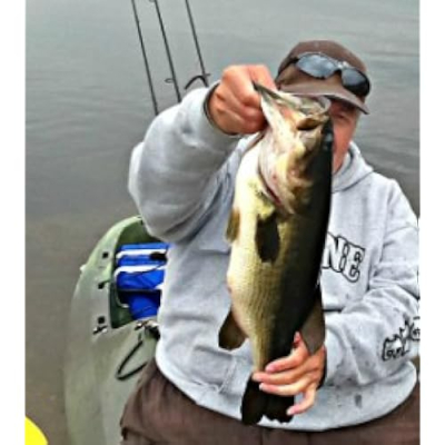 The Reel Bassaholic Likes Profile