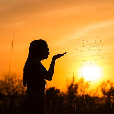 Tiffany's Finds Profile