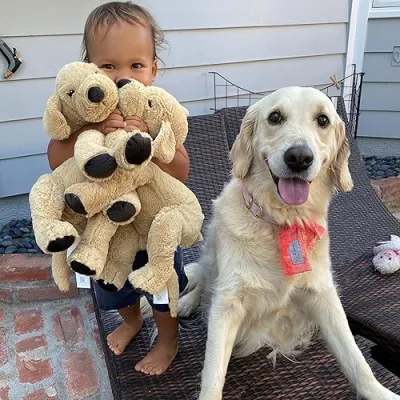 Harlow Buns the Golden