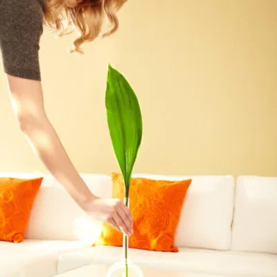 Stylish Home Decor, Entertaining & Organization Influencer Picks