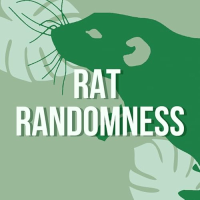 Rat Randomness Shop Page Profile