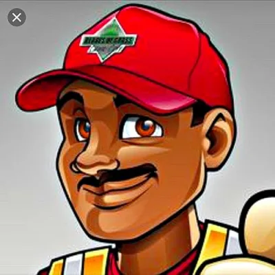 Blades of Grass Lawn Care