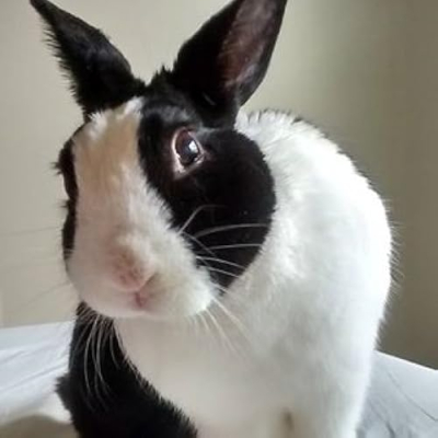 OneMorePlease Profile