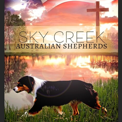 Brandi Sutton Profile