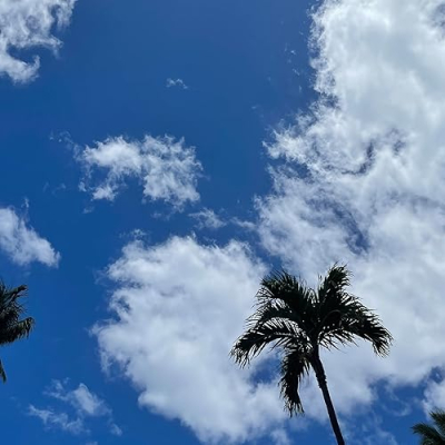 Emily Miller Profile