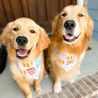 Flare and Ollie Profile