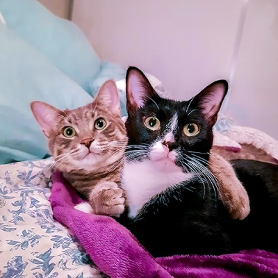 Theo & Chickie Profile