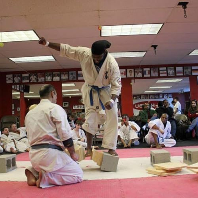 Flow State Martial Arts and Wellness Profile