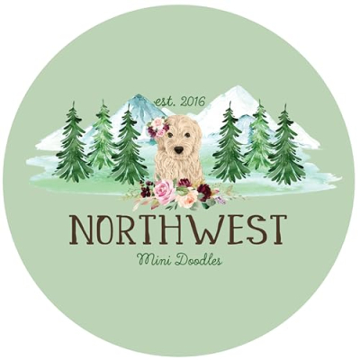 Northwest Mini Doodles Profile