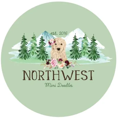 Northwest Mini Doodles