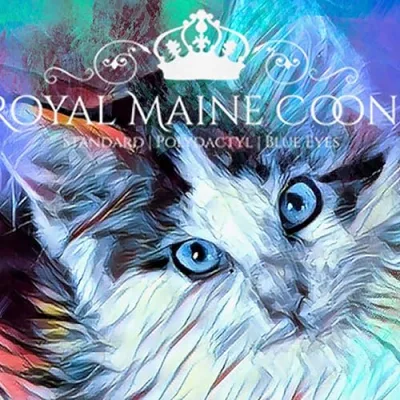 Royal Maine Coons