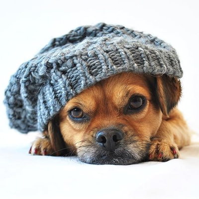 Smooshy Mooshy Profile