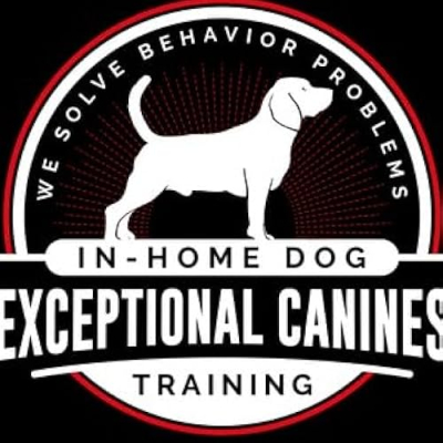 Welcome to Ingo's Influencer Page Profile