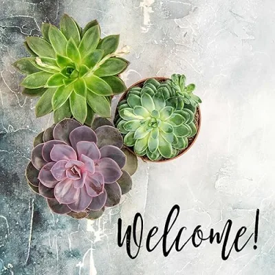 Holistically Healthy Home