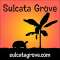 Sulcata Grove