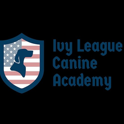 Ivy League Canine Academy Profile