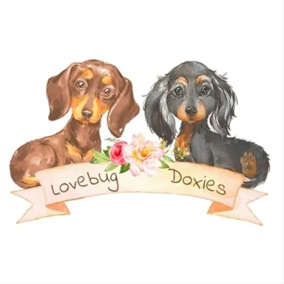 Dachshund Lovers Wishlist