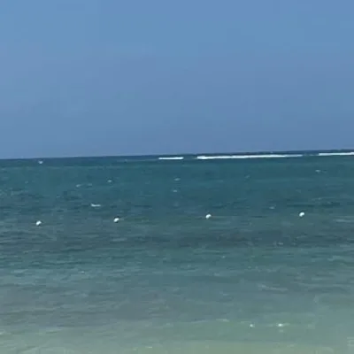 Shawnee’s Top Buys!