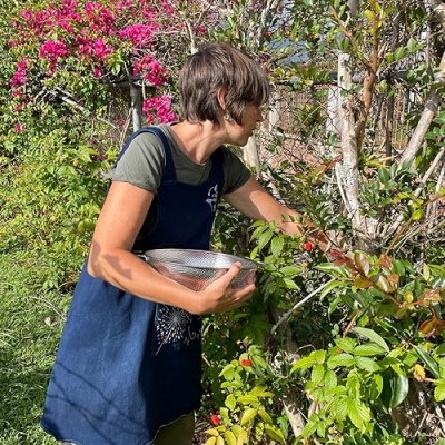 La Casa del Viento Profile