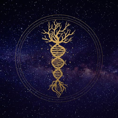 Sapien Medicine Amazon Recommendations Profile