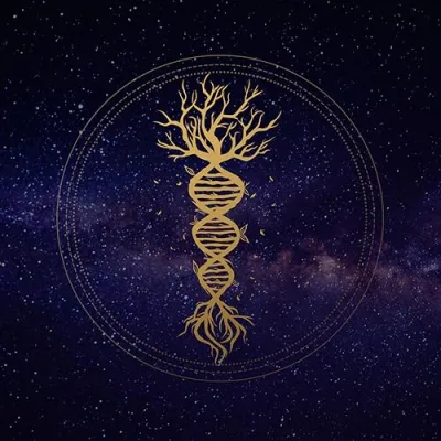 Sapien Medicine Amazon Recommendations