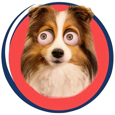 The Cricket Chronicles