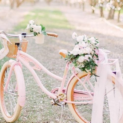 Adriana Aguilar Profile