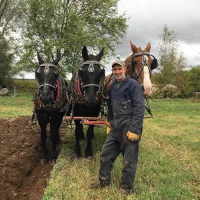 Working Horses With Jim