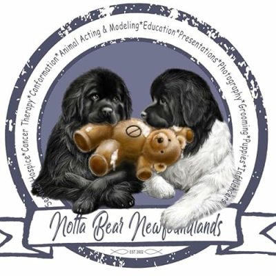 Notta Bear Newfs Profile