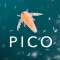 Picocosmos Profile