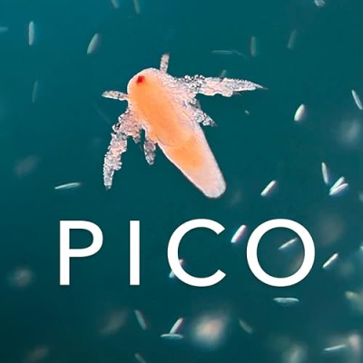 Picocosmos Profile
