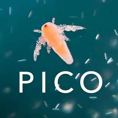 Picocosmos