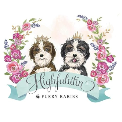 Highfalutin Furry Babies Profile