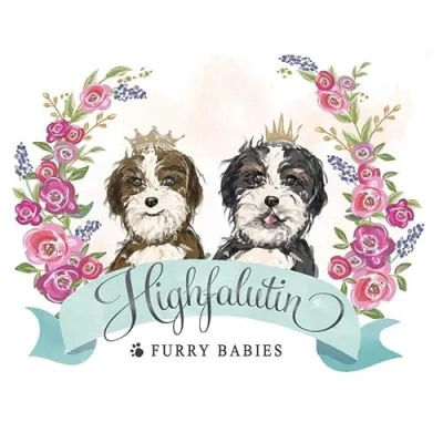 Highfalutin Furry Babies