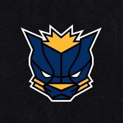 Pacers Gaming Profile