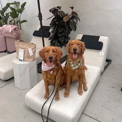 BEAU & BUBBLES + RHOXETTE