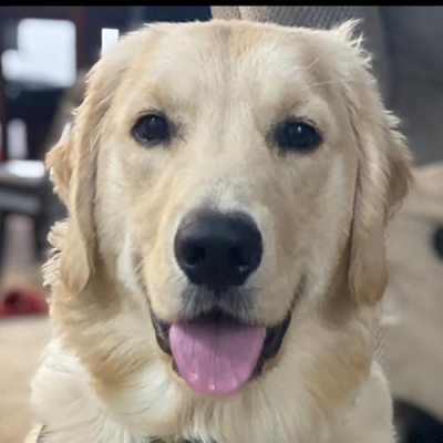 Winnie’s Picks Profile