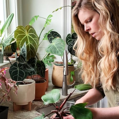 Amanda's Plant Care Favorites Profile