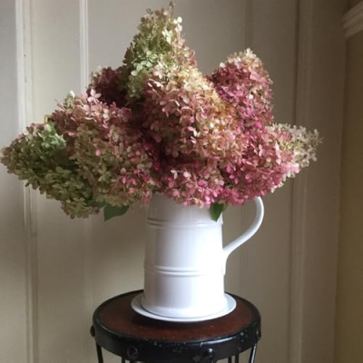 rue.dauphine.paris Profile